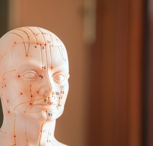 numeric reference sheet details